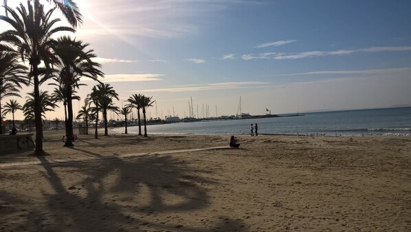 Plage à proximité, chaises longues, serviettes de plage