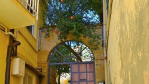 Un edificio giallo con una scala che conduce a una porta di legno, circondato da piante in vaso e un albero con frutti rossi.