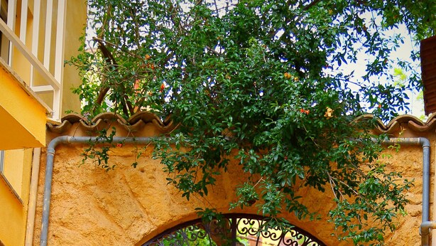 Un'ampia porta in legno con arco in metallo, inserita in un edificio giallo con una targa che porta il numero 12.