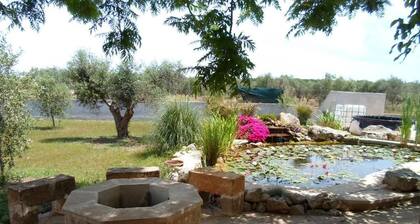 SALENTO: Villa 'Martina' 10 Minuten von Leuca, 3 km vom Meer entfernt