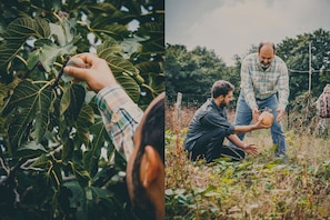 Breakfast, lunch, dinner served; Italian cuisine