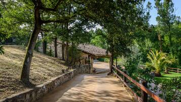 Área da propriedade