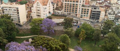 Una zona urbana densa con una mezcla de edificios residenciales y comerciales, un parque central con árboles y una calle transitada con vehículos.