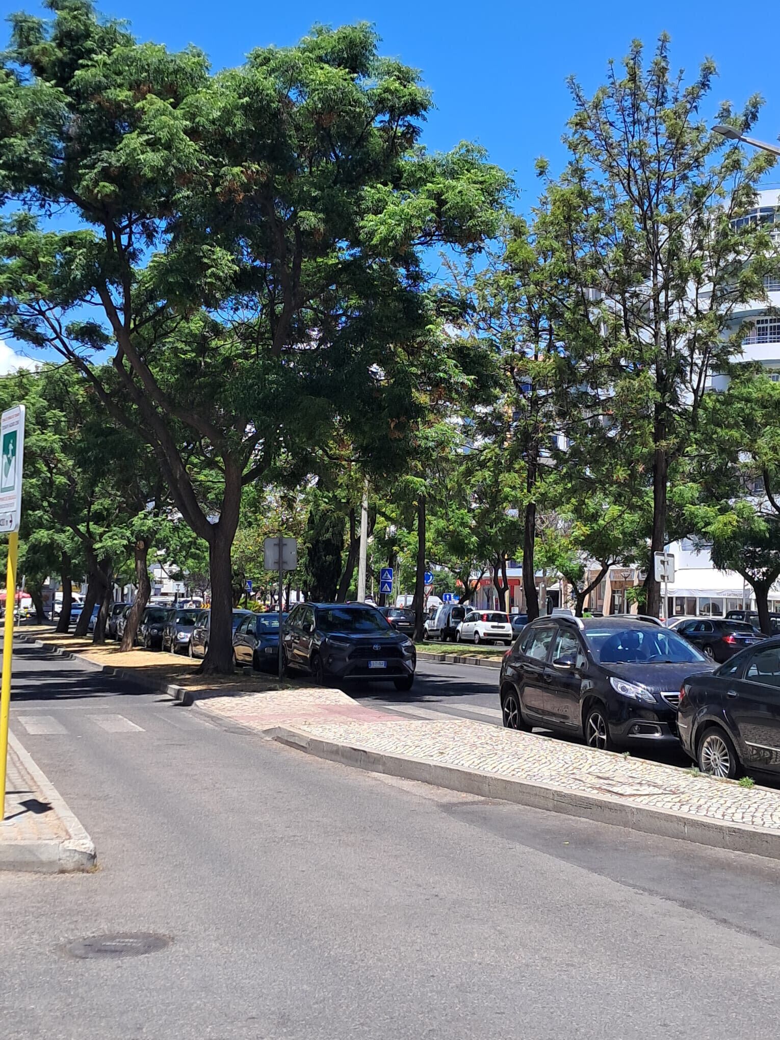 A street lined with parked cars and trees.