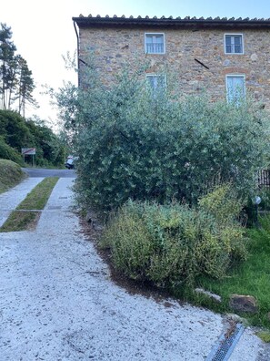 Property grounds - Holidayhome Petra - Rustic Tuscan house with pool and view 5 minutes from Lucca (Lucca)