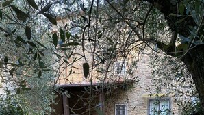 A stone building with a wooden pergola and a stone pathway leading to a seating area.