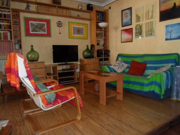 TV, fireplace, DVD player, books