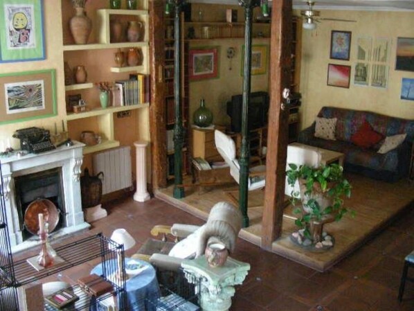 Televisión, chimenea, reproductor de DVD y libros 