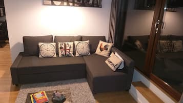 Smart TV, DVD player, books, video library