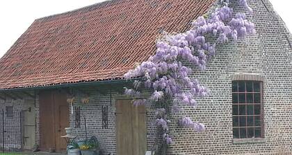 Lomolen B&B
