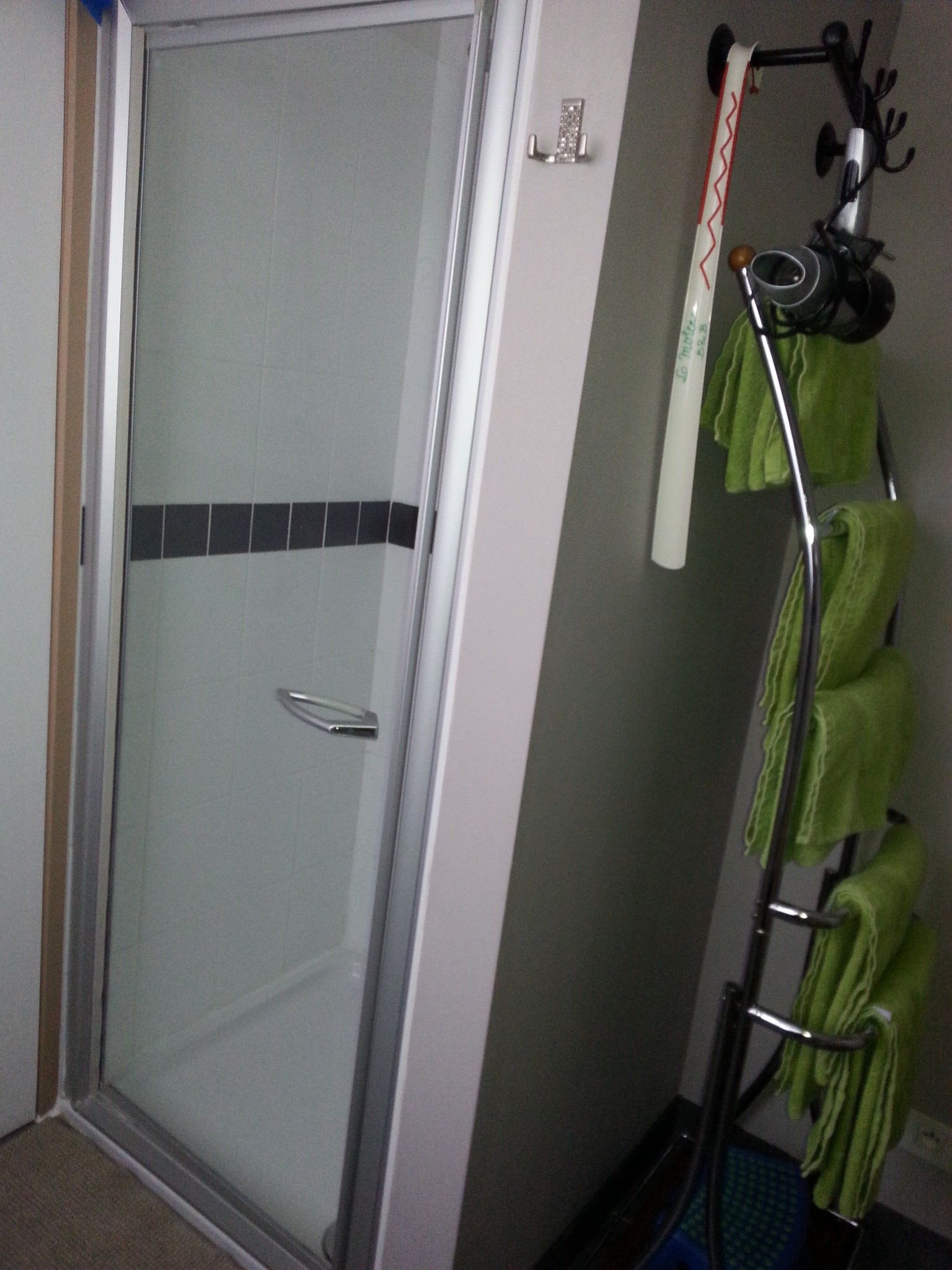 Une douche avec une porte en verre, un porte-serviettes avec des serviettes vertes et un petit miroir.