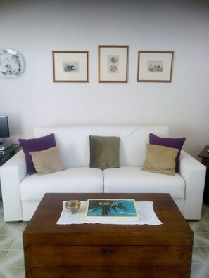 Télévision, cheminée, lecteur de DVD, livres