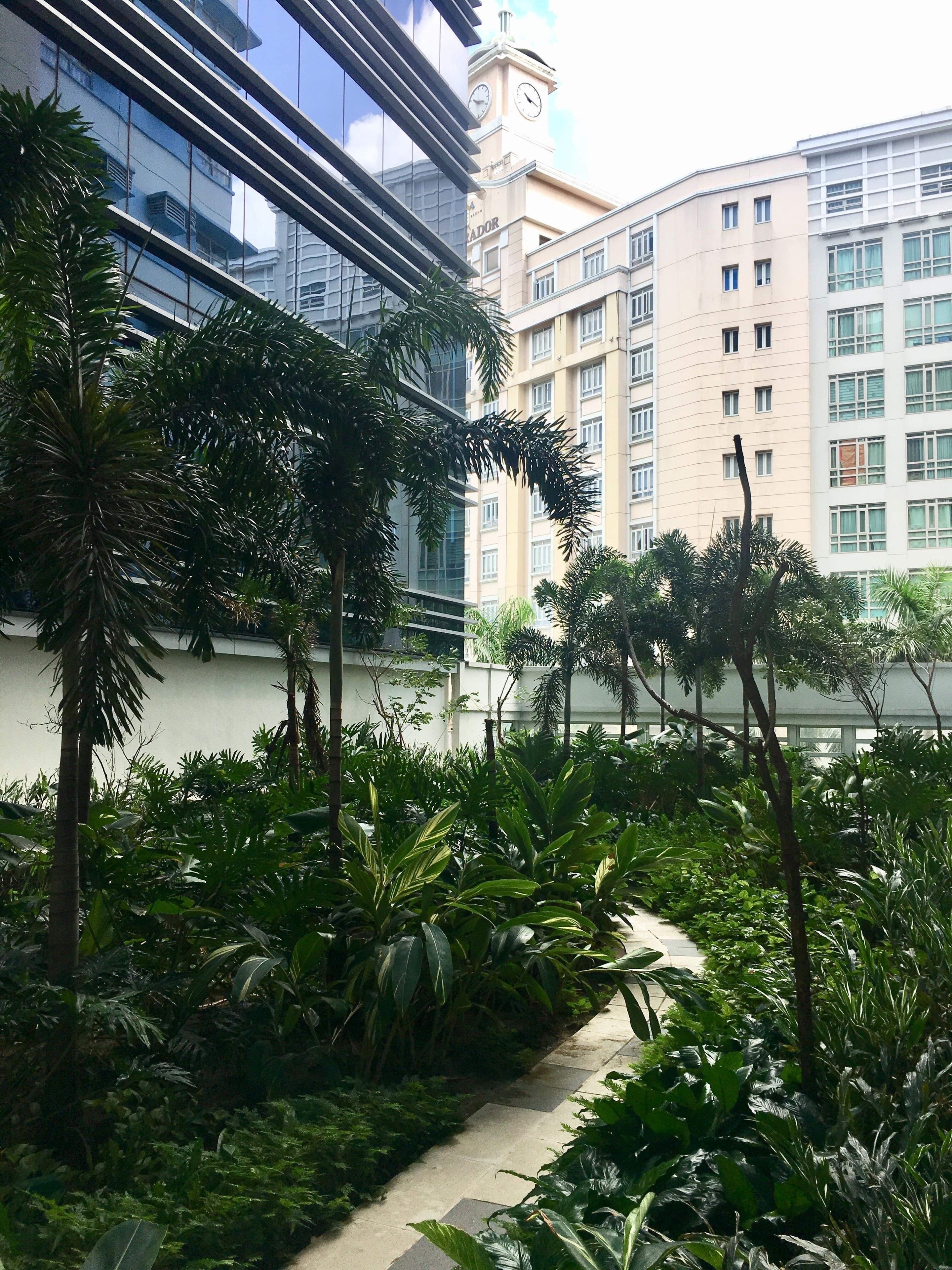 Aire de jeux - extérieure