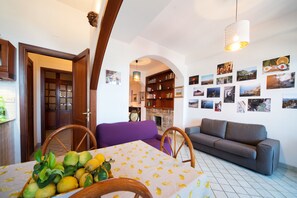 TV, fireplace, books