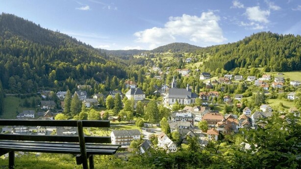 A scenic view of a small town nestled in a valley with a prominent church and residential buildings. - Hotel dasZimmermann (Todtmoos)