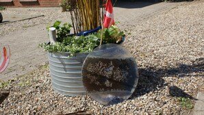 Een metalen plantenbak met een vlag, omgeven door kiezelstenen en groen.