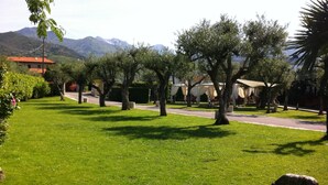 A grassy area with trees and a stone sculpture. - Hotel Da Filiè (Seravezza)