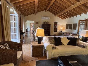 TV, fireplace, DVD player, books - Villa Malveira - Style and Tradition in Portugal (Janes)