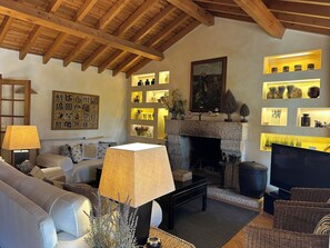 Télévision, cheminée, lecteur de DVD, livres