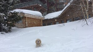 Uklassifisert bilde, 5 av 55, knapp