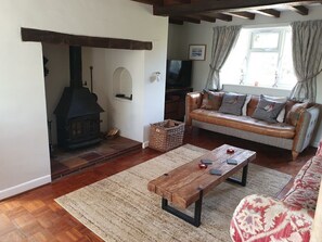 TV, fireplace, DVD player, books