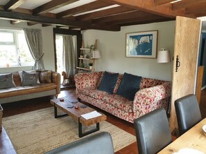 TV, fireplace, DVD player, books