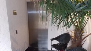 Esquina de una habitación con suelo de baldosas negras, una alfombra roja y una planta en maceta.