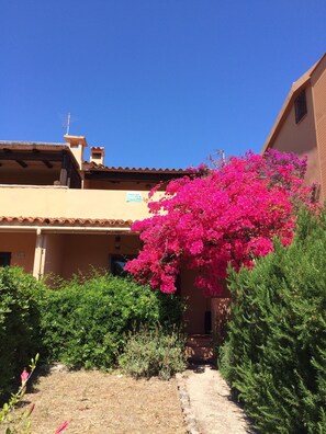 Details aan de buitenkant