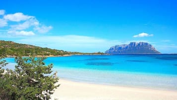Tæt på stranden