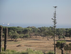 Niet-geclassificeerde afbeelding, 5 van 8, knop