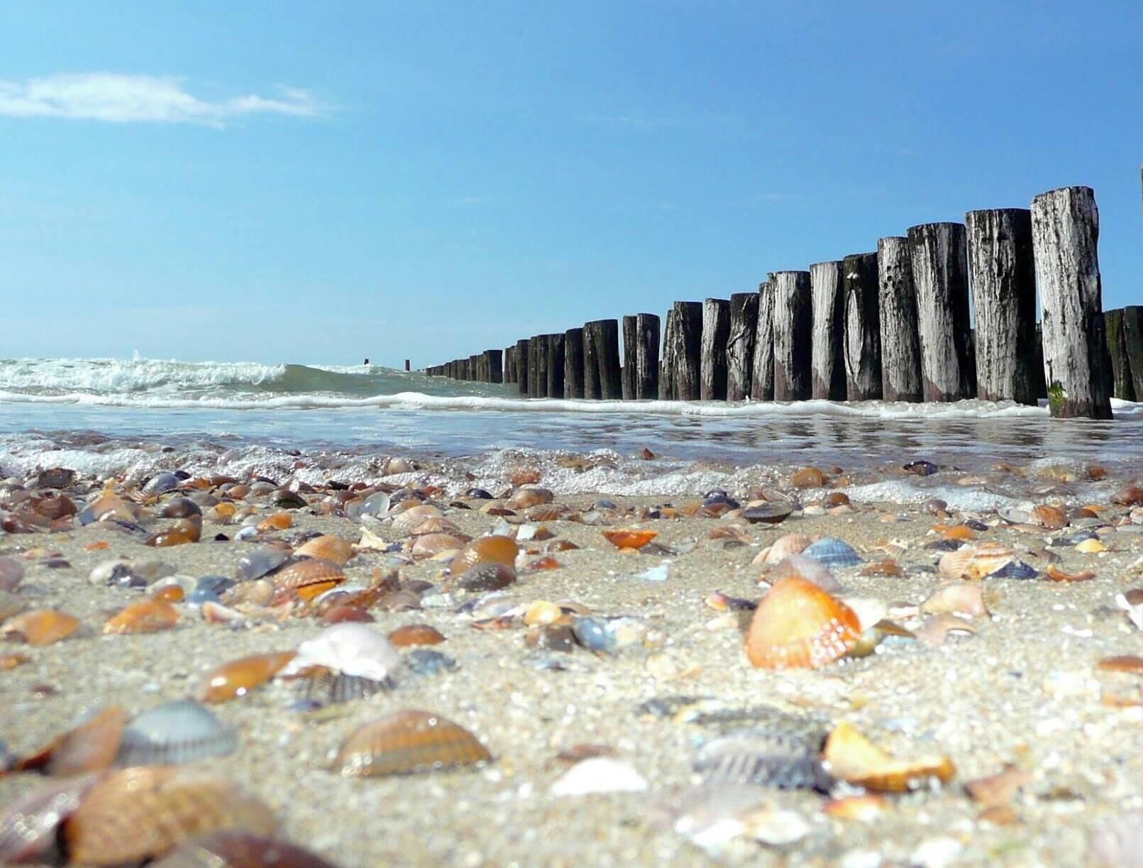 Plage à proximité