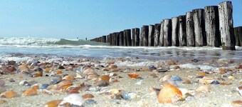 6 persons Chalet Net Wa'k Wou, Close to Zeeland Coast, Olmenduin (family park)