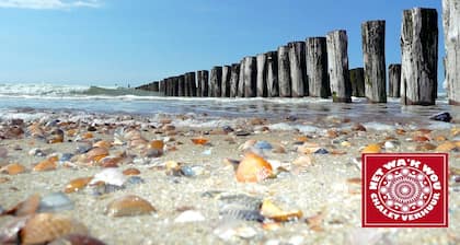 6 persons Chalet Net Wa'k Wou, Close to Zeeland Coast, Olmenduin (family park)