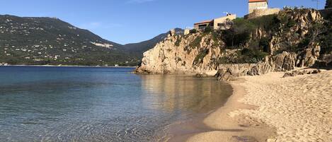 بالقرب من الشاطئ