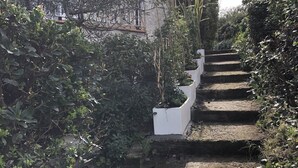Een stenen trap omringd door weelderige beplanting en een witte muur.