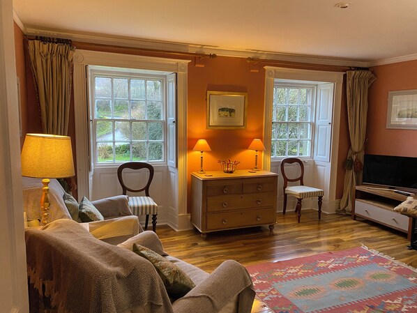 Televisio, takka, DVD-soitin, videokirjasto