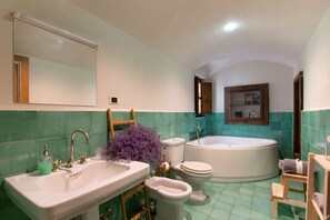 Bathtub, hair dryer, bidet, towels