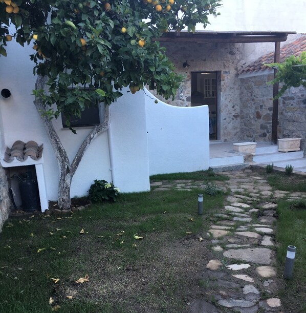 A white building with a stone pathway leading to a door, surrounded by greenery and a tree with fruit.
