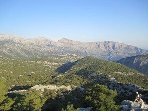 Esterni