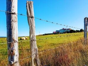 Exterior - Grásteinn Guesthouse (Langanesbyggð)