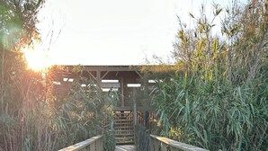 Una passera de fusta que condueix a una zona coberta envoltada d'herbes altes.