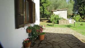 A stone-paved courtyard with potted plants and a white building with wooden shutters.