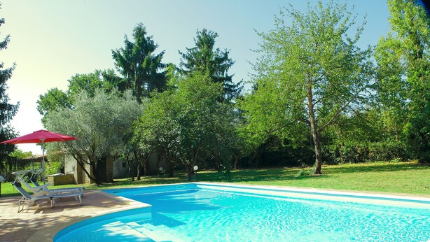 A swimming pool with a red umbrella, lounge chairs, and surrounding trees.