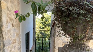 A stone pathway leading to a gated entrance, surrounded by lush greenery and a large potted plant.