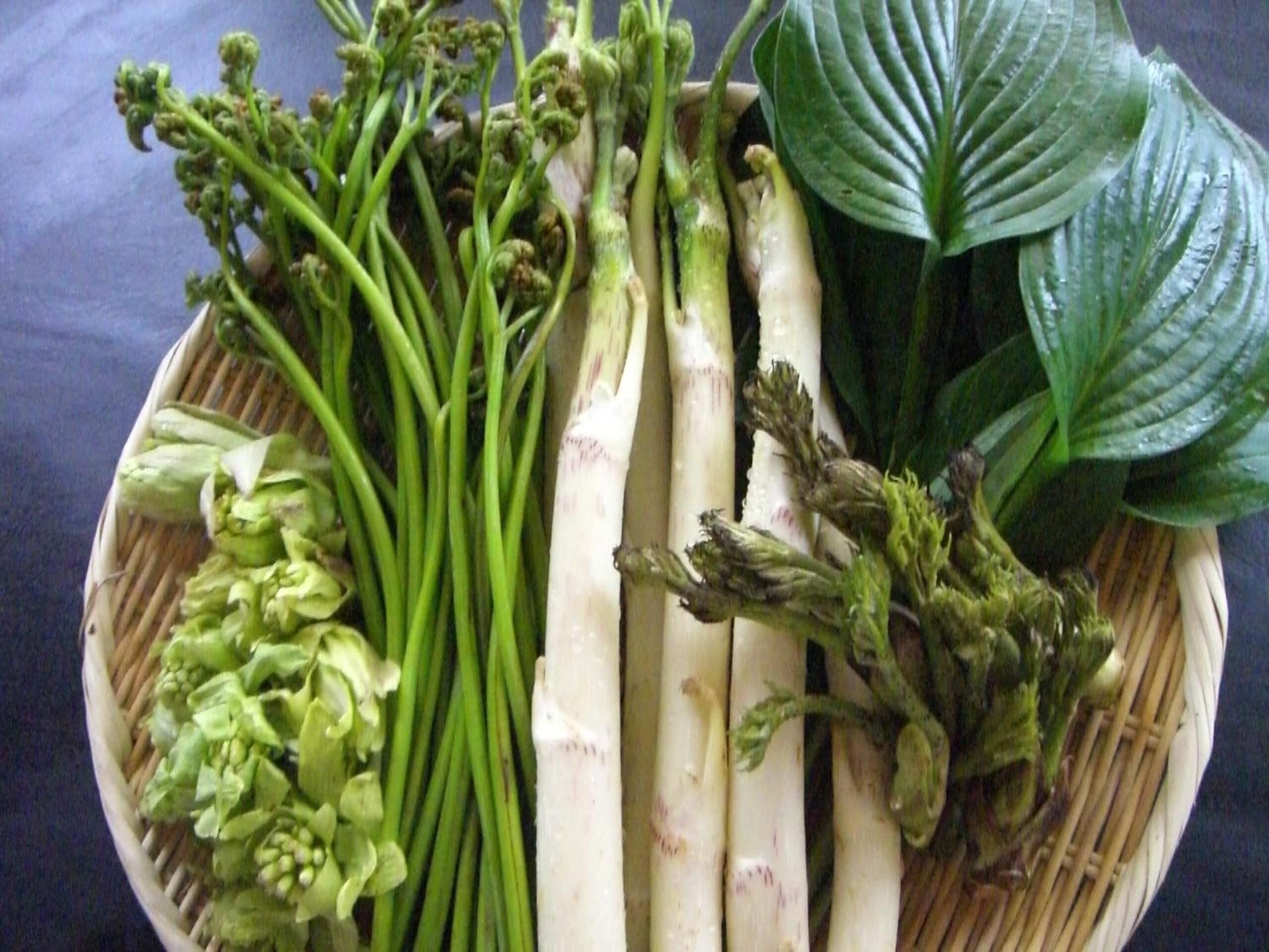 A basket containing various vegetables including green beans, asparagus, and leafy greens.