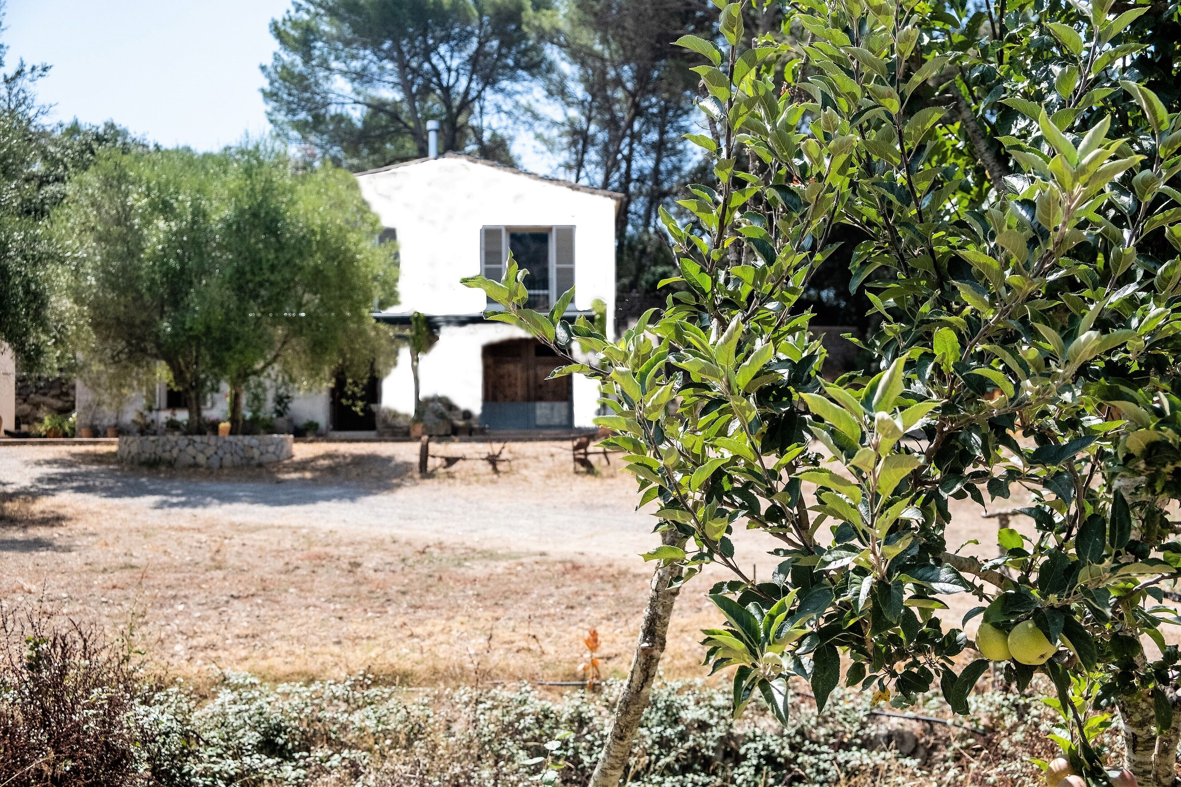 Àrea exterior de l'allotjament