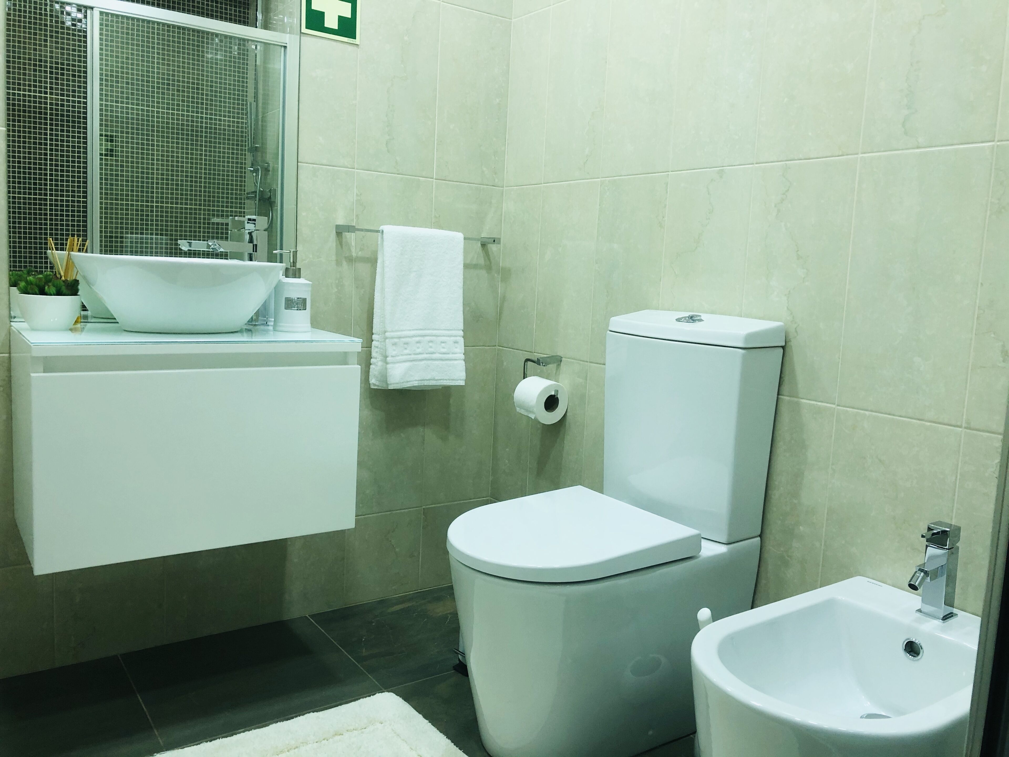 Combined shower/bathtub, hair dryer, bidet, towels