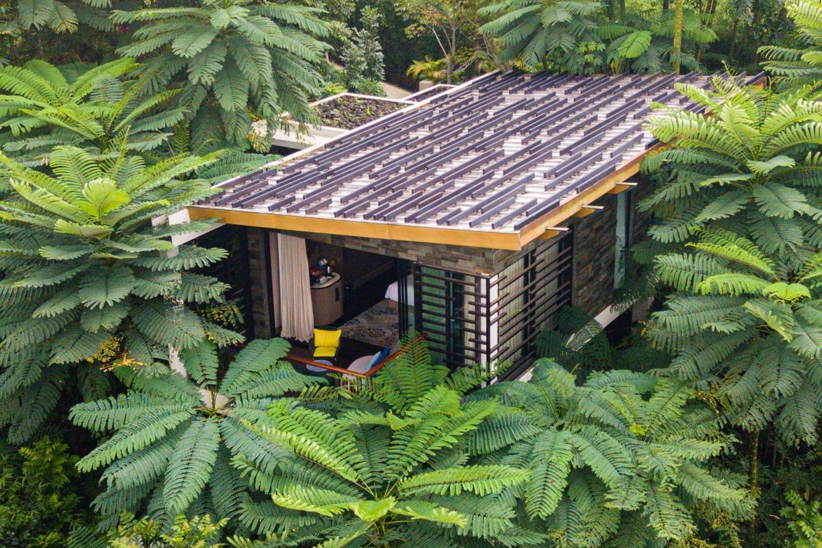 Een klein, modern vakantiehuisje omringd door dichte varens, met een eenvoudig, open interieur en een groot raam.