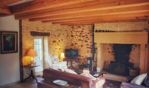 Televisie, een open haard, een dvd-speler en boeken