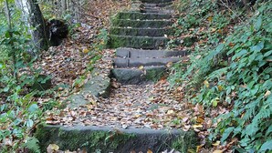 A stone staircase in a forested area with fallen leaves. - Die Burg Schöna - In a national park (Reinhardtsdorf-Schoena)